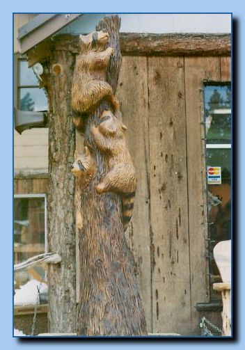 2-28 vertical raccoon collage-archive